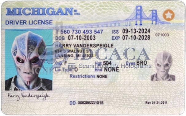 Michigan